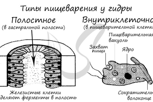 Как пополнить кошелек на кракене